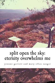 Paperback split open the sky: eternity overwhelms me Book
