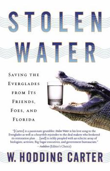 Paperback Stolen Water: Saving the Everglades from Its Friends, Foes, and Florida Book