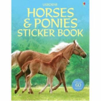 Paperback Horses and Ponies Book