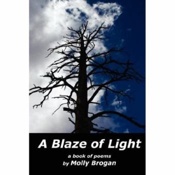 Paperback A Blaze of Light Book