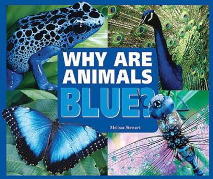 Why Are Animals Blue? (Rainbow of Animals) - Book  of the Rainbow of Animals