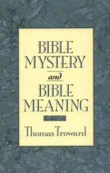 Paperback Bible Mystery and Bible Meaning Book
