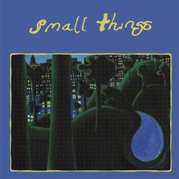 Vinyl Small Things Book