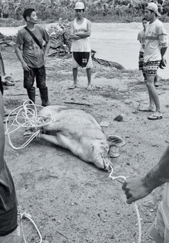 Paperback Hamburger Eyes No. 35 Book