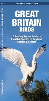 Pamphlet Great Britain Birds: A Folding Pocket Guide to Familiar Species of England, Scotland & Wales Book