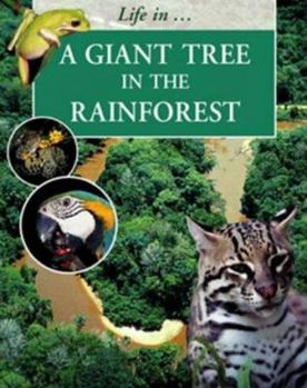 Paperback A Giant Tree in the Rainforest Book