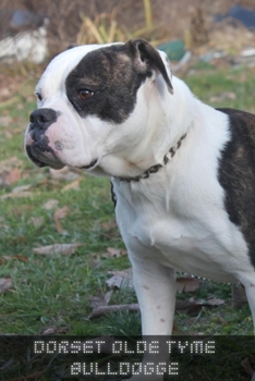 Paperback Dorset Olde Tyme Bulldogge: Complete breed guide Book