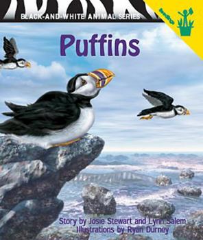 Puffins