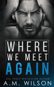 Paperback Where We Meet Again Book