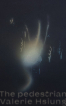 Paperback The Pedestrian Book