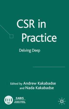 Hardcover CSR in Practice: Delving Deep Book