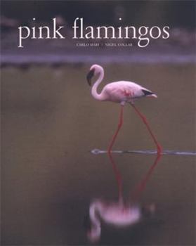 Hardcover Pink Flamingos: Interviews with Jean-Louis Missika and Dominique Wolton = Le Spectateur Engage Book