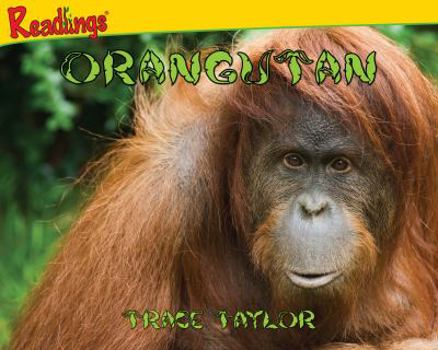 Paperback Orangutan (Animals of Asia) Book