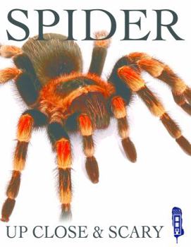 Hardcover Spider Book