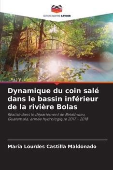 Dynamique du coin salé dans le bassin inférieur de la rivière Bolas (French Edition)
