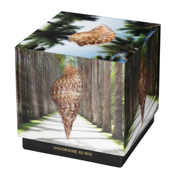 Paperback Visionaire No. 62 Rio, Campana Brothers Case Book