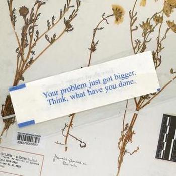 Music - CD A Change in Diet Book