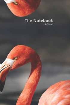 Paperback The Notebook by flamingo - Lovely pink birds Book