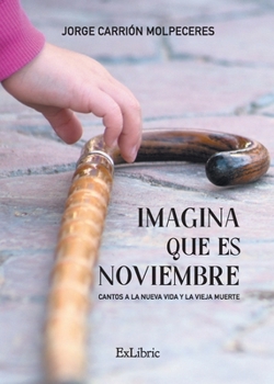 Paperback Imagina que es noviembre [Spanish] Book