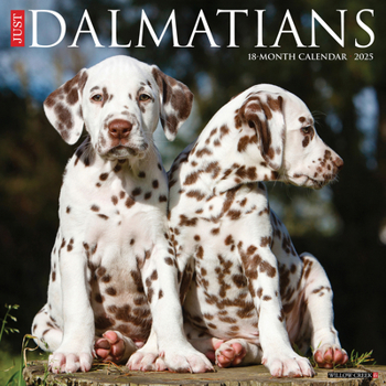 Calendar Just Dalmatians 2025 12 X 12 Wall Calendar Book