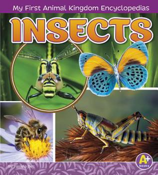 Insects - Book  of the My First Animal Kingdom Encyclopedias