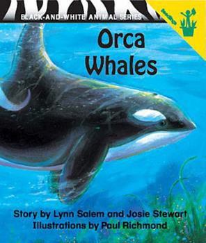 Paperback Early Reader: Orca Whales Book
