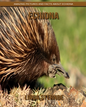 Paperback Echidna: Amazing Pictures and Facts About Echidna Book