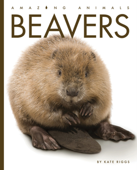 Beavers - Book  of the Amazing Animals