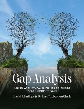 Paperback Gap Analysis: Using Archetypal Imprints to Bridge Staff Mindset Gaps Book