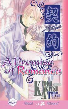Paperback A Promise of Romance Book