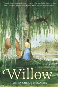 Paperback Willow Book