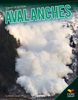 Library Binding Avalanches Book