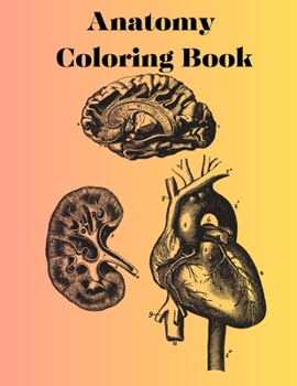 Paperback Anatomy Coloring Book: Coloring Your Way to Understanding Anatomy [Large Print] Book
