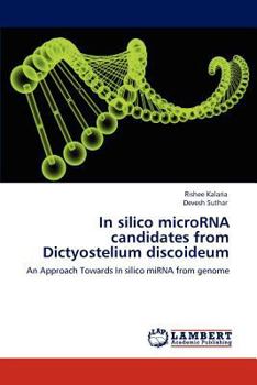 Paperback In silico microRNA candidates from Dictyostelium discoideum Book