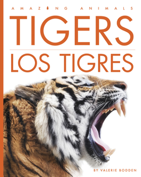 Library Binding Tigers / Los Tigres [Spanish] Book