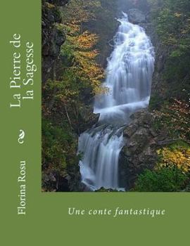 Paperback La Pierre de la Sagesse: Une conte fantastique [French] Book