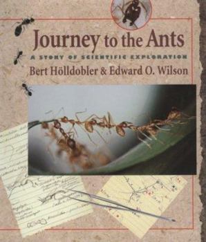 Hardcover Journey to the Ants: A Story of Scientific Exploration Book