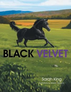 Paperback Black Velvet Book