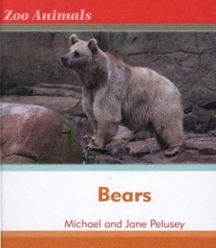 Bears - Book  of the Zoo Animals