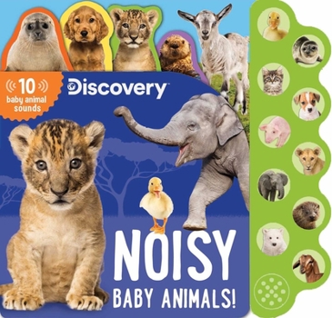 Board book Discovery: Noisy Baby Animals! Book