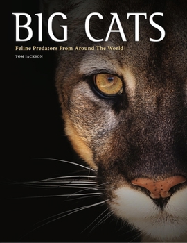 Hardcover Big Cats: Feline Predators from Around the World Book