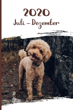 Kalender 2020: Pudel Hunde Tageskalender 2. Halbjahr Juli Dezember ca DIN A5 wei� �ber 190 Seiten