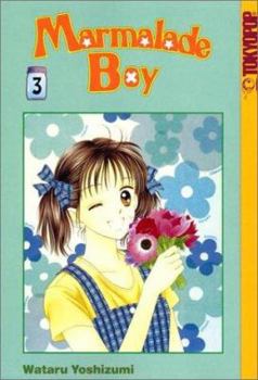  3 - Book  of the Marmalade Boy 16 Volume edition