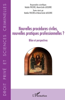 Nouvelles procédures civiles, nouvelles pratiques professionnelles ?: Bilan et perspectives (Droit Privé Et Sciences Criminelles) (French Edition)