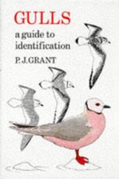 Hardcover Gulls: A Guide to Identification Book