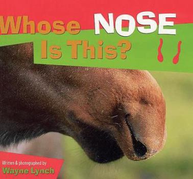 Paperback Whose Nose Is This? Book