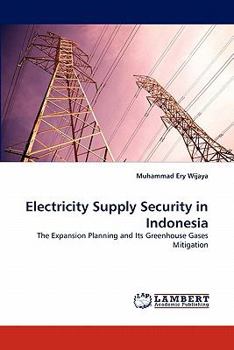 Paperback Electricity Supply Security in Indonesia Book