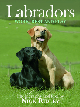 Hardcover Labradors Book