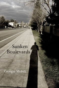Paperback Sunken Boulevards Book