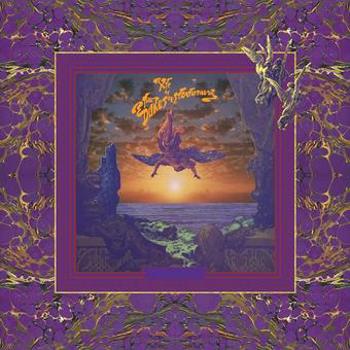 Vinyl Psonic psunspot  200 gram Book